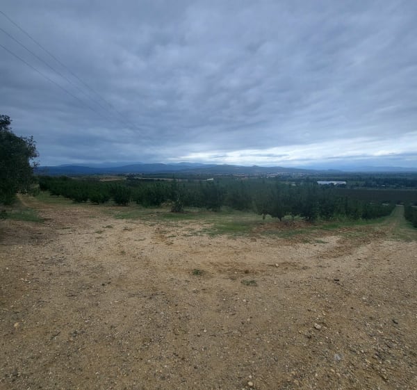 Pollestres, Nyls, Ponteilla, Canohès, Toulouges, Perpignan - Esteban - 1