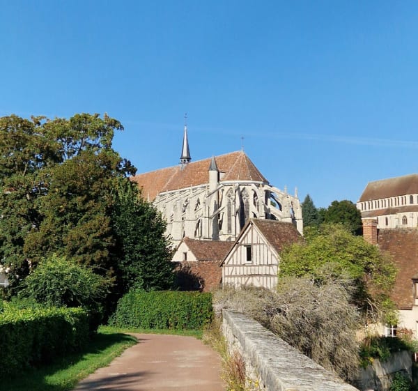 Chartres médiéval et Barjouville la nature - stephane - 1