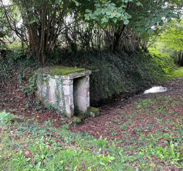 Entre Auvergne et Limousin de Rilhac-Xaintrie - Rilhac-Xaintrie - 1