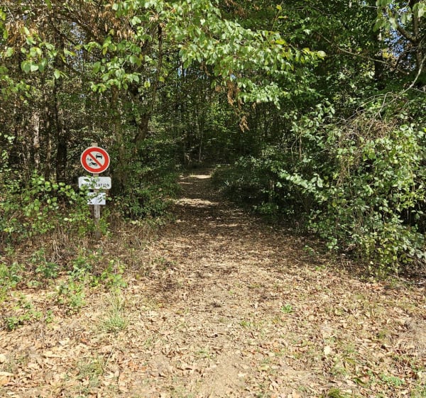 Le chemin de la chapelle St Jaymess - William - 1