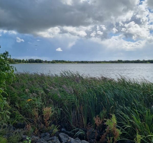Wandel naar de Toolenburgerplas - ingrid - 1