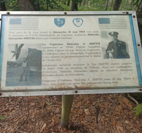 Balade en forêt de Vibraye - Cathia - 1