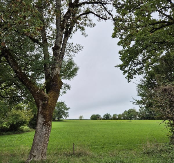 Entre forêt, champs et rivière à Cuvat - Allonzier-la-Caille - 1