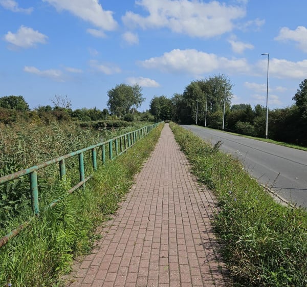 Bieg opływy Motławy - Gdańsk - 1