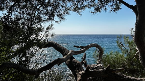 Presqu'île de Saint-Mandrier et son patrimoine exceptionnel - Saint-Mandrier-sur-Mer - 1