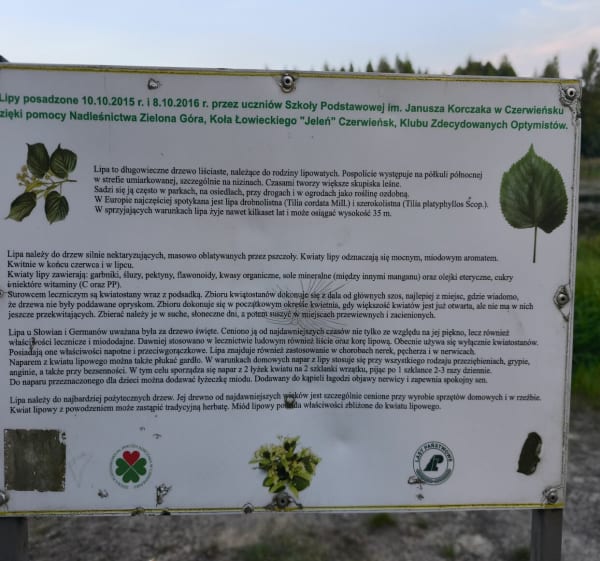 Szalona jazda po wywiadówce - Jerzy - 1