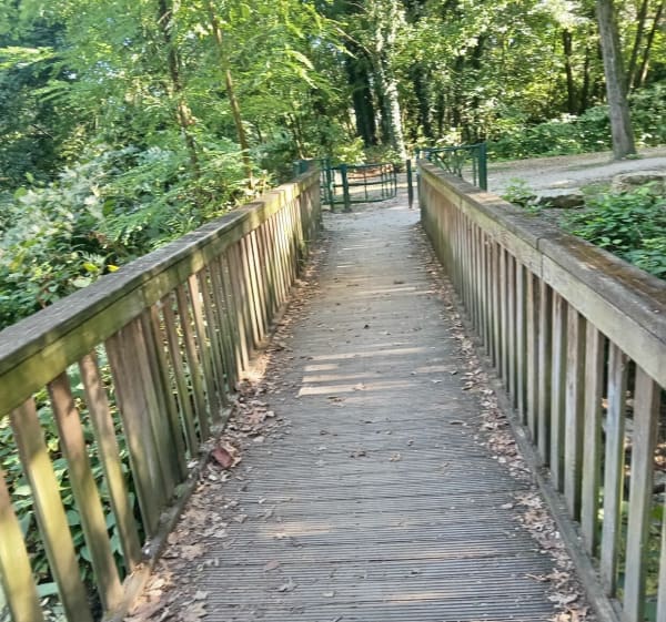 Sentier le long de la Bourbre - Chavanoz - 1