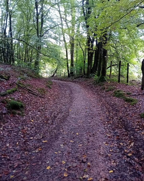 Le sentier des étangs et des fontaines - Cindy - 1