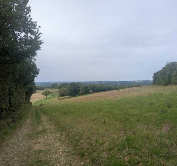 Rando autour de Beaurepaire - Beaurepaire - 1