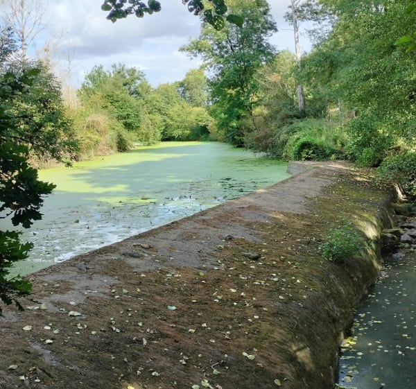 La grande Maine à Saint George de Montaigu - Adeline - 1