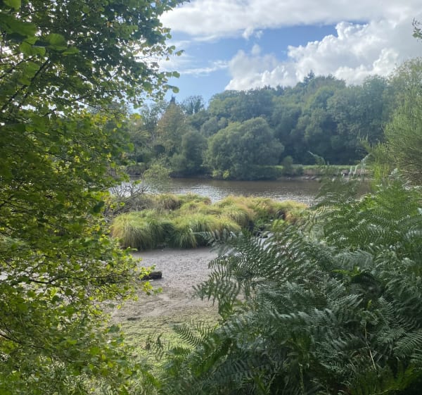 2e balade étang du Guic et Vieil Etang - Guerlesquin - 1