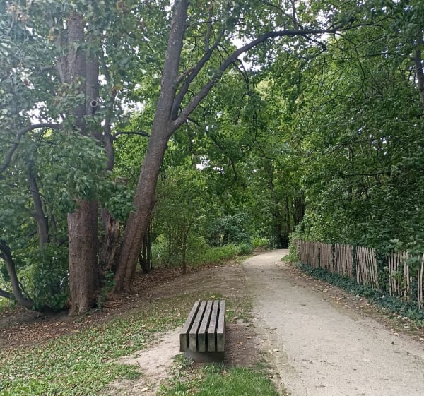 Promenade sur le chemin de halage à Le Pecq - Christine - 1