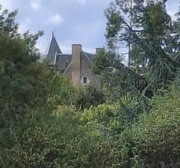 MIRÉ  49 Château de VAUX - Jocelyne - 1