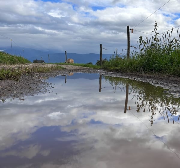 Une balade agréable autour de Saint-Jeoire-Prieuré - Saint-Jeoire-Prieuré - 1