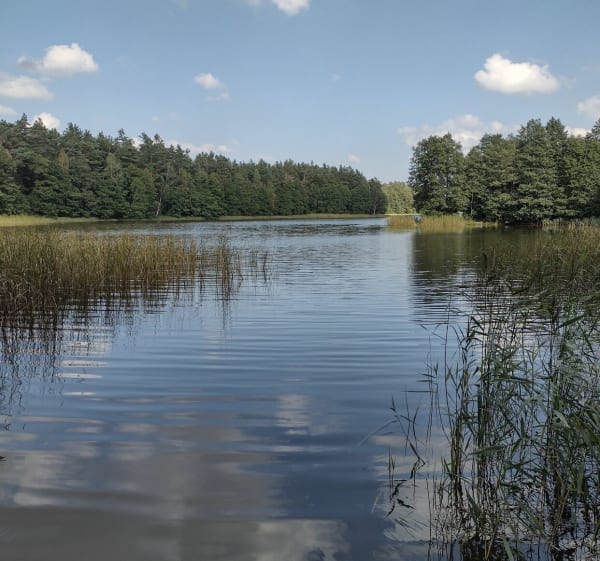 Jezioro białe - Radosław - 1