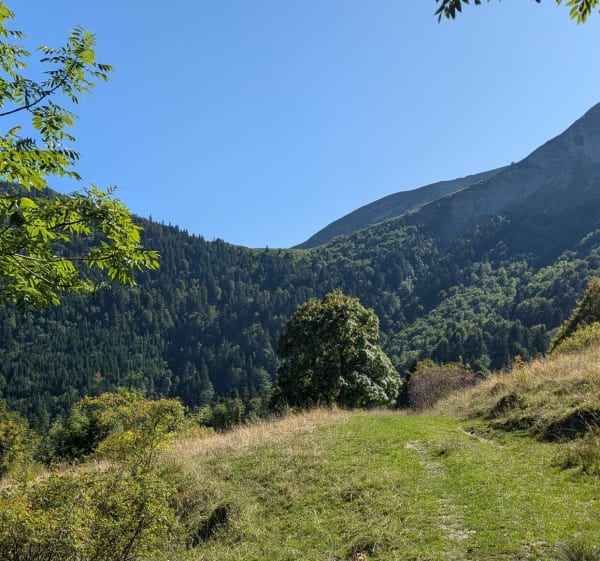 Le Mont Chanais par le Chalet des Platières - Gex - 1