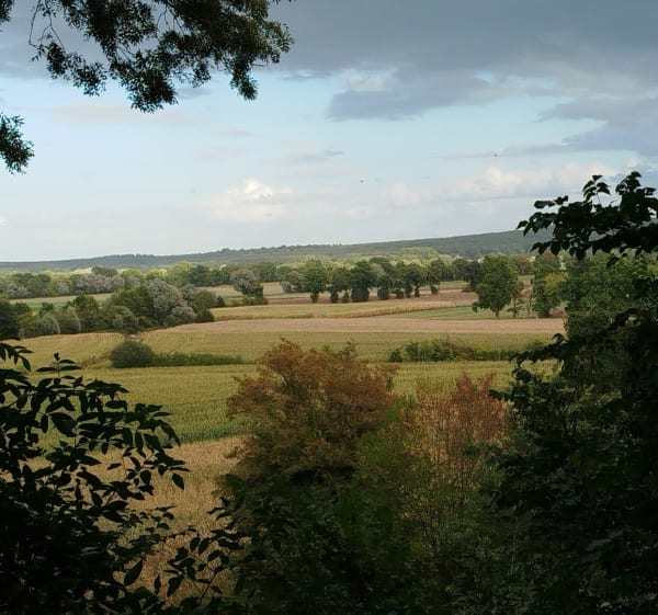 Norville bord de Seine, par Etelan - Fabien - 1