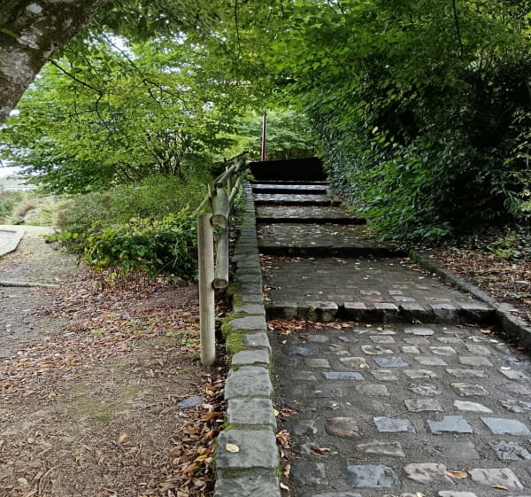 Balade entre voie verte et parc de Cossé - Cossé-le-Vivien - 1