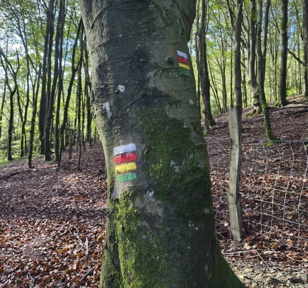 Dans les hauteurs des Trois Couronnes - Irun - 1