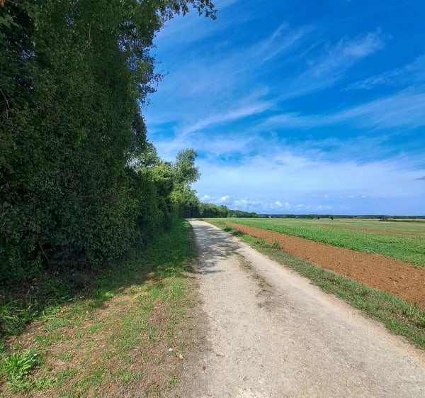 Balade St Vaize - BLANDINE - 1