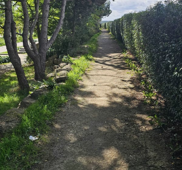 Une marche à Laxou par Villier-lès-Nancy - Fayad - 1