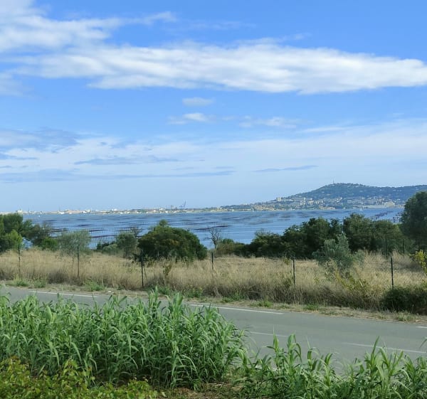 Tour de l'étang de Thau au départ de Sète - Sète - 1