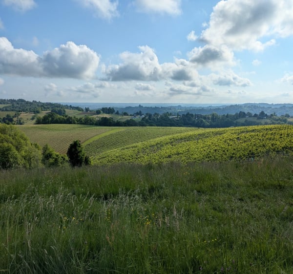 Coteaux et vignobles de Jurançon depuis l'université de Pau - BRICE - 1