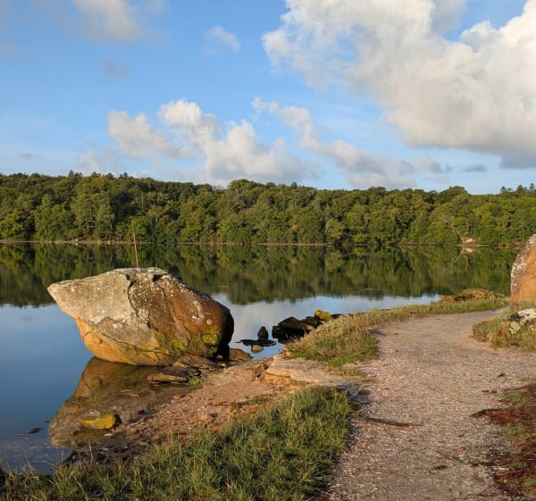 Rive Ouest de la rivière du Bono en direction d'Auray - Le Bono - 1