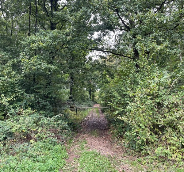 Tour de la carrière de Montcornet - Tia - 1