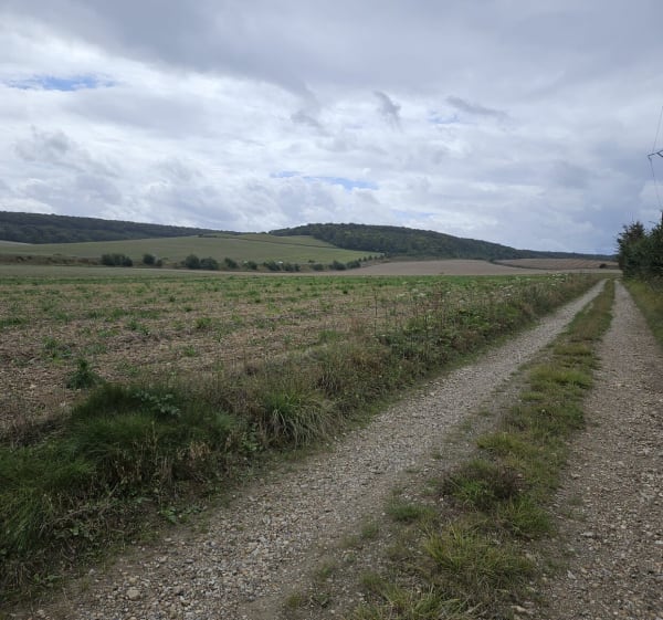 Manoir de Blangy, par les Cailloins - Blangy-sur-Bresle - 1