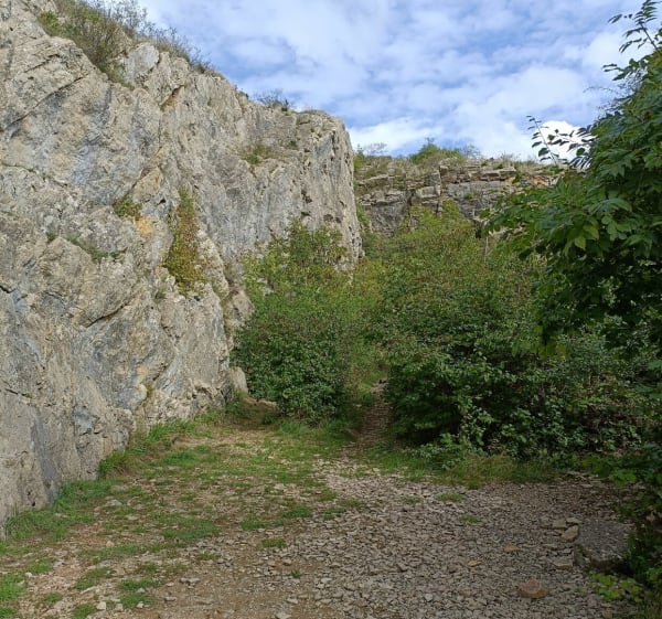 Plateau de Mancy - Lons-le-Saunier - 1
