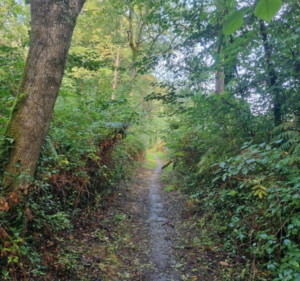 Chaille sous les Ormeaux, par la Blinière - Rives de l'Yon - 1