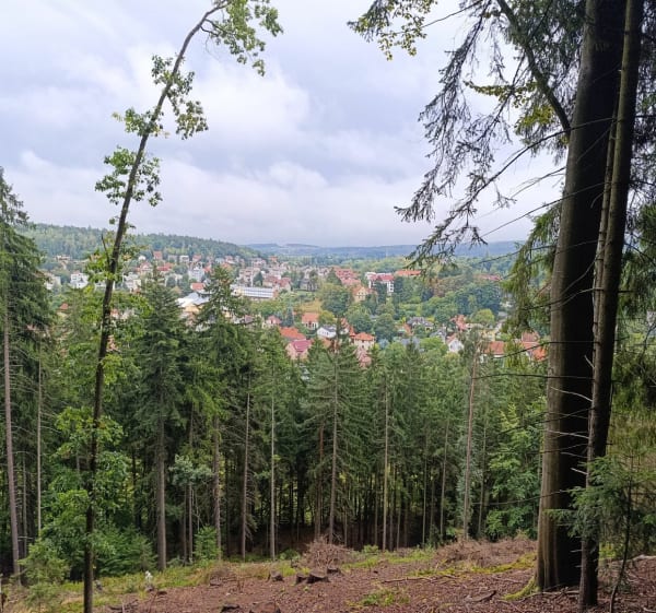 Spacer za serduszkiem - Michał - 1