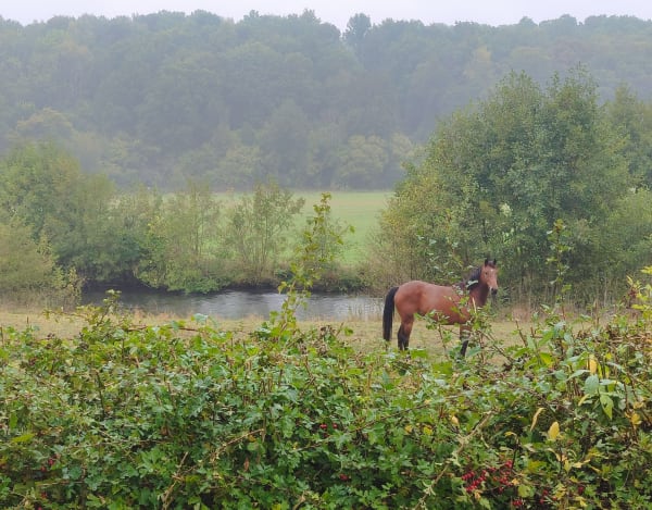 Broglie et escapade verte sur la vallée de la Charentonne - Joelle - 1