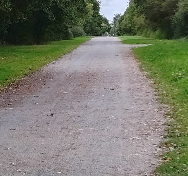 Champêtre, guinguette au bord de l'eau, par la Maltière - Rennes - 1