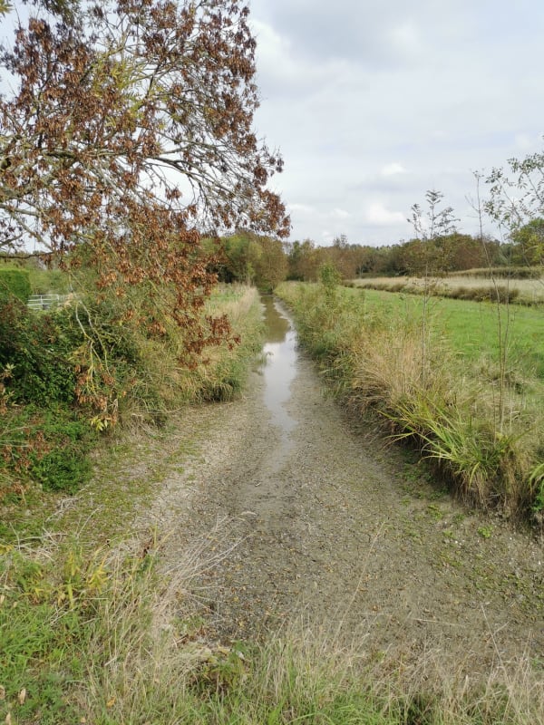 Les Mathes Saint Hilaire de Riez - PATRICK - 1