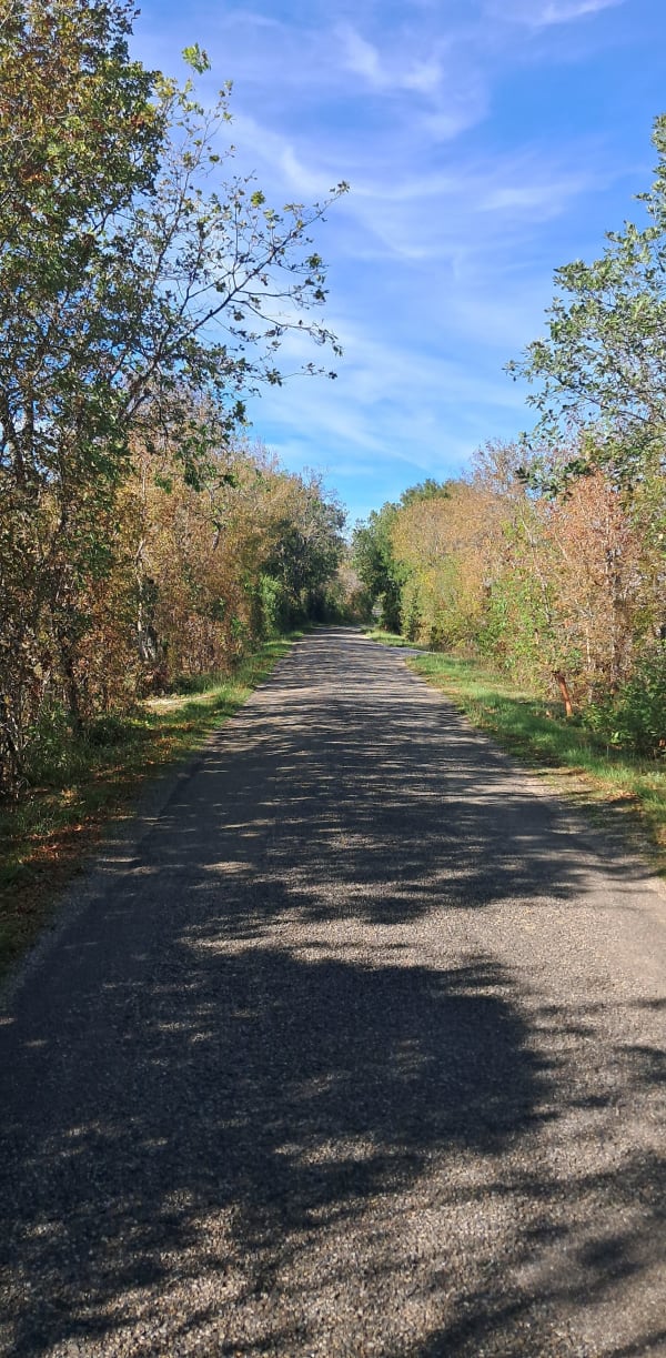 Les chemins de Montagudet - Montagudet - 1