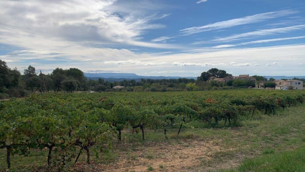 De Saint-Martin-de-la-Brasque, point à la vigne - Albane - 1