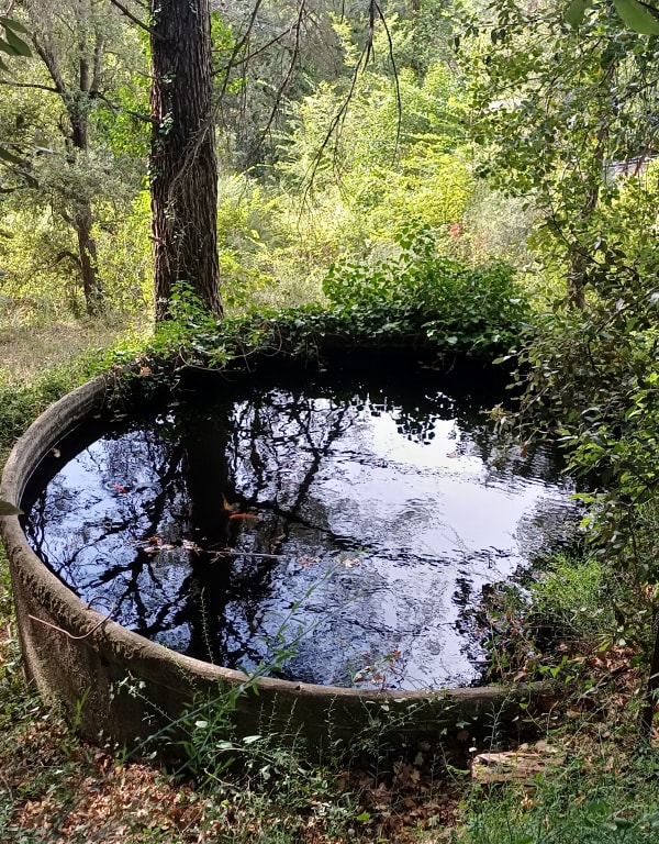 Au fil de la Siagne et son canal à Mouans-Sartoux - Isabelle - 1