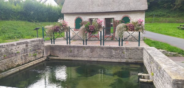 Entre forêt, campagne et mer à Colleville-sur-Mer - Colleville-sur-Mer - 1