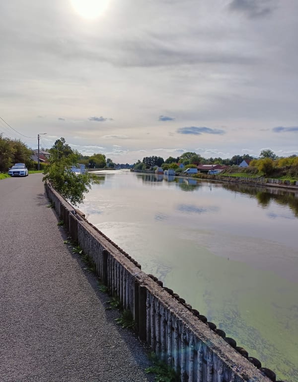Beuvry belle balade au bord de l'eau et en sous bois - Anthony - 1