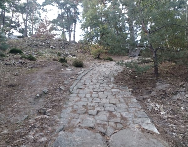Exploration en forêt de Fontainebleau et nombreux trésors - Fontainebleau - 1