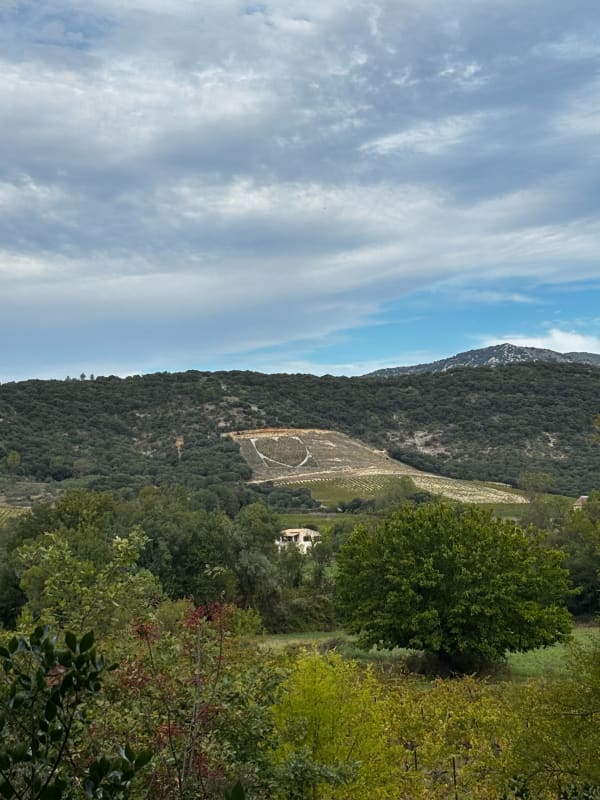 Montoulieu : virée au top au mont Haut - Pierre - 1