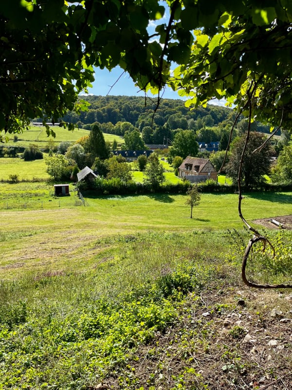 Wandel door Lyons-la-Forêt en de charmes van weleer - Lilie - 1
