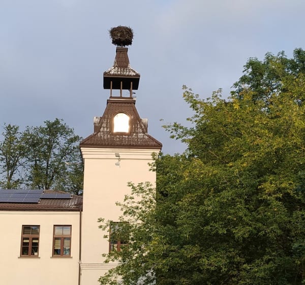 Supraśl Centrum - Las Krasny - Jaroszówka - Radosław - 1