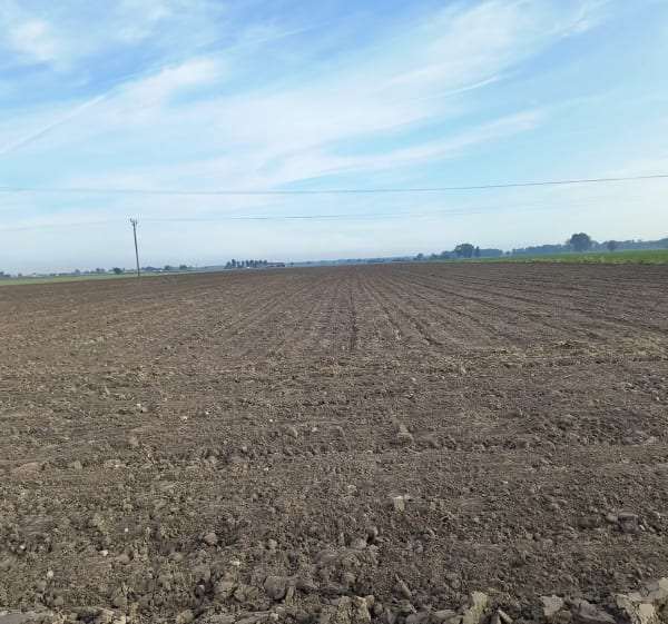 Spacer po mieście - Strzałkowo - 1