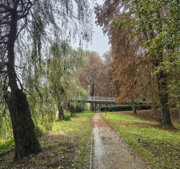 Spacer po Raciborzu - Racibórz - 1