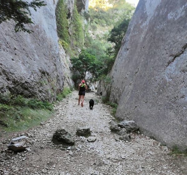 Trail dans les Gorges du Regalon, par Crau des Mayorques - chesne - 1