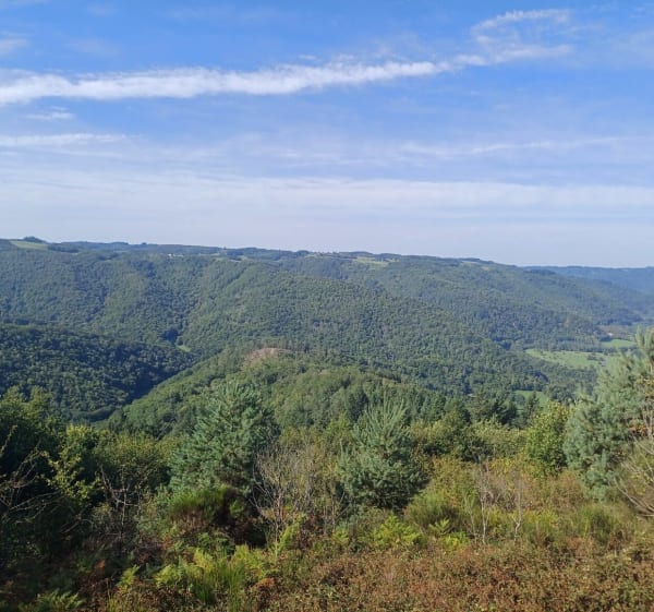 Rando trail, marche, vtt à Argentat-sur-Dordogne - frederic - 1