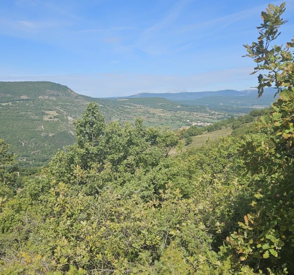 Autour de Forcalquier - Limans - 1
